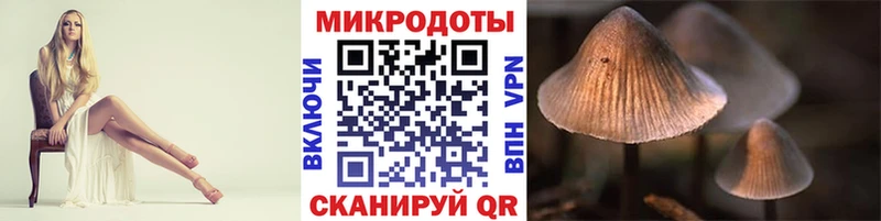 Купить  Новодвинск  Псилоцибиновые грибы Cubensis 